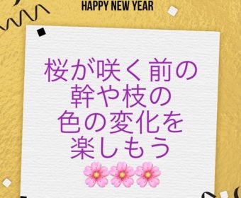 【問題解決の心構え】焦る気持ちを落ち着かせる 3つのアドバイス
